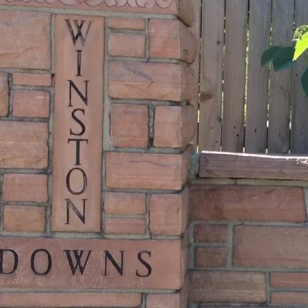 winston-downs